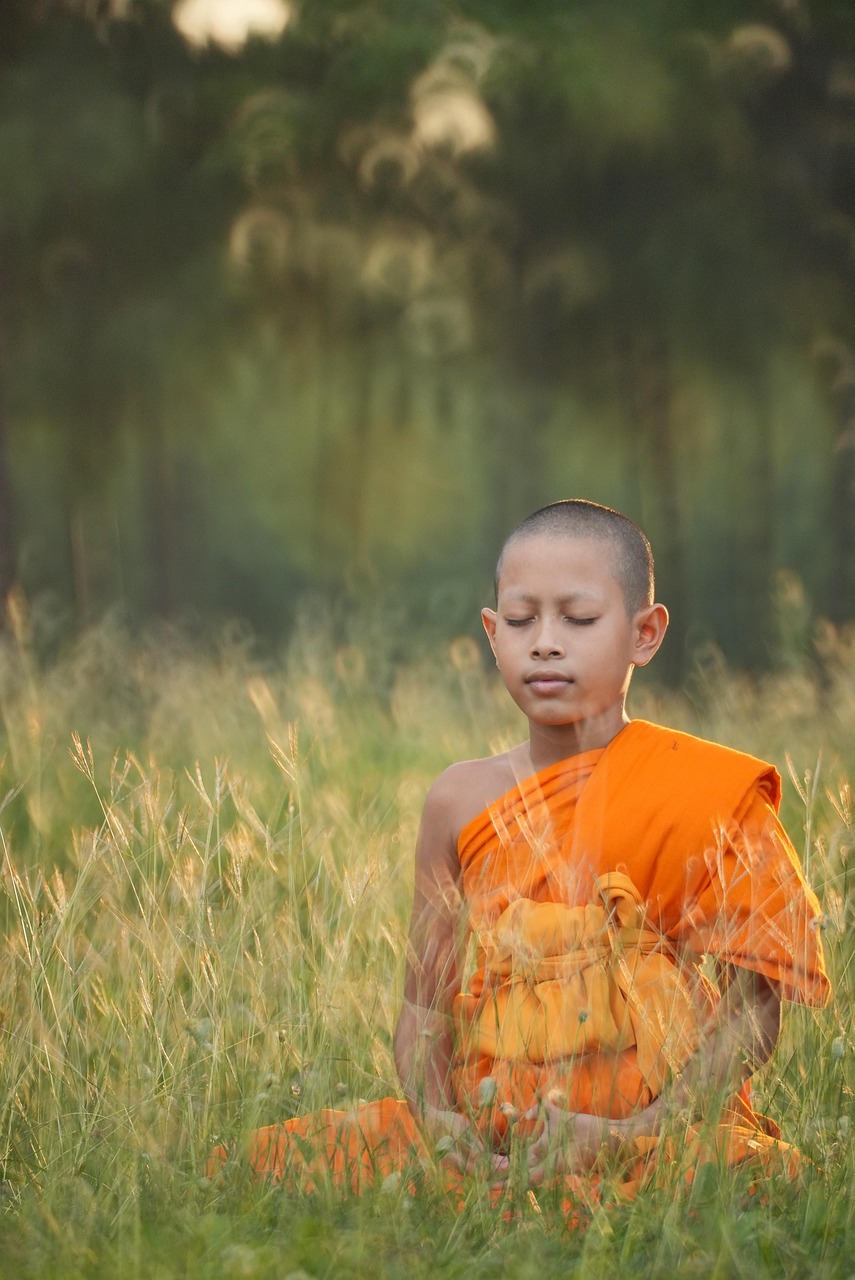 Peaceful yoga practice in natural setting